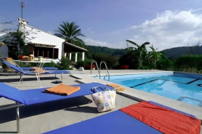 Camp de l'Alzina